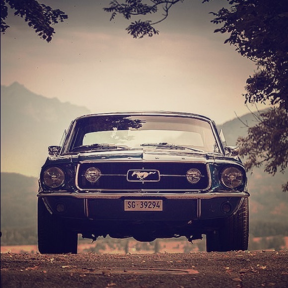 Meet your Posher, Sergio - Picture 1 of 2